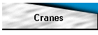 Cranes